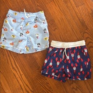 Janie and Jack Blue and White Swim Trunks